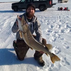 Meet your Posher, Allen